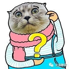 申公豹代购的中药材居然这么牛