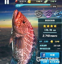 钓鱼发烧友攻略游戏