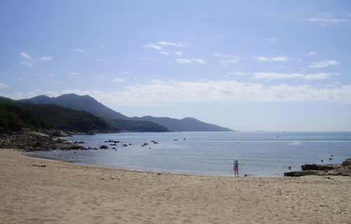 南丫岛攻略游戏