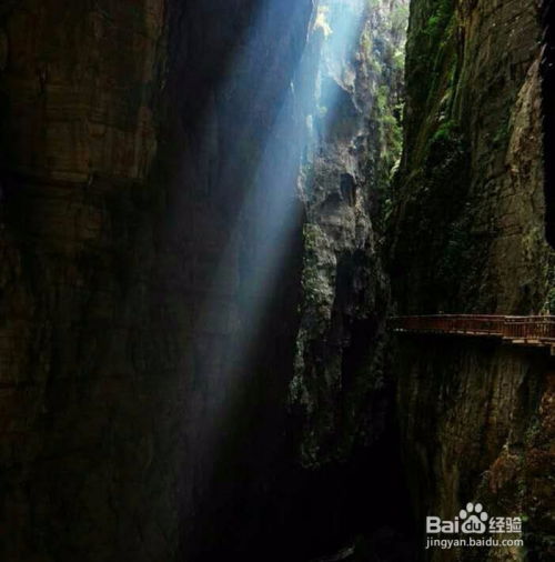 武陵山攻略游戏