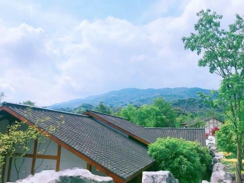 蒙顶山攻略游戏