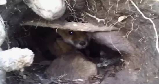 男子上山采药发现人体骸骨 男子上山采药发现人体骸骨