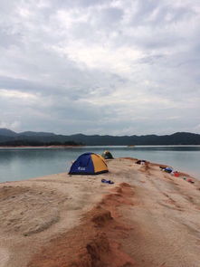 万绿湖攻略游戏