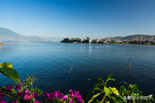 洱海攻略游戏