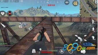 大逃杀游戏攻略