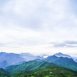 龙泉山攻略游戏