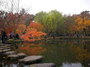 天平山攻略游戏