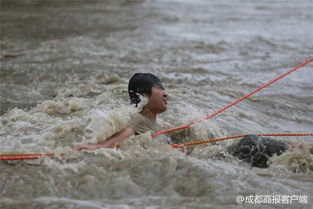 跳江救人的“白龙”马不幸死亡