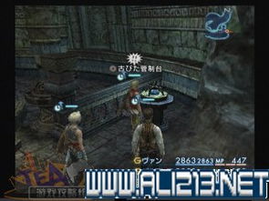 最终幻想12攻略游戏