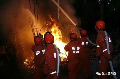 26岁消防员李梦豪壮烈牺牲