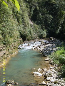 黑山谷攻略游戏