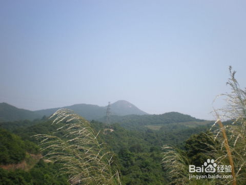 羊台山攻略游戏