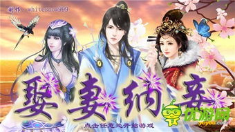 花痴侍妾游戏攻略