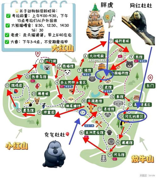 红山动物园攻略游戏
