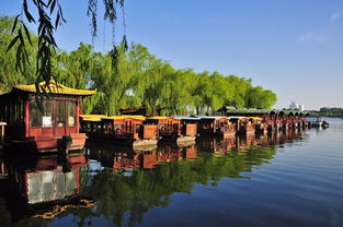 山东1天下了4516个“大明湖”