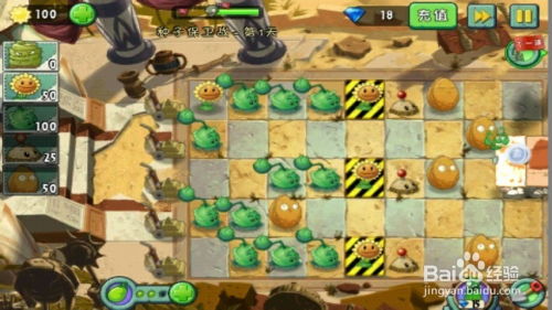 植物保卫战攻略游戏