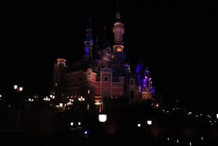 上海一日游攻略游戏