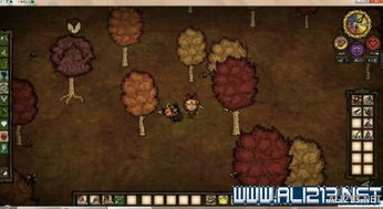 饥荒攻略单机游戏