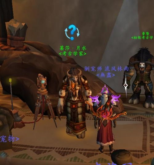 WOW考古攻略游戏 WOW考古攻略游戏