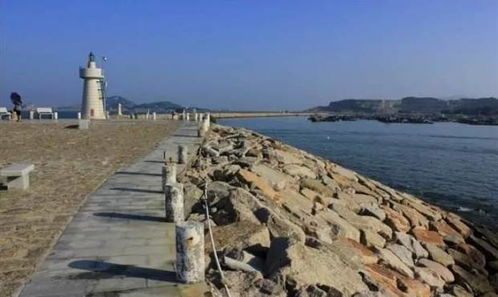 桂山岛攻略游戏