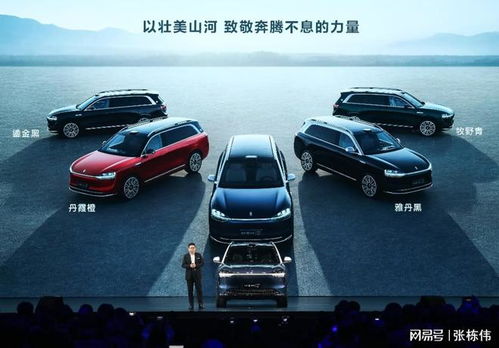 车主变野生销冠!63小时卖753台问界