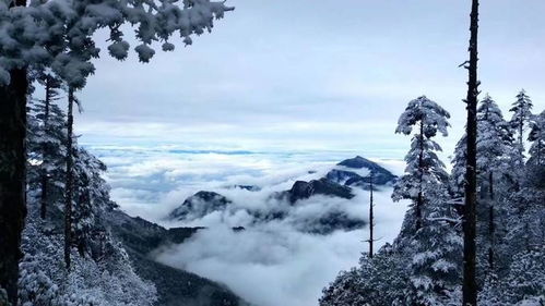 瓦屋山攻略游戏