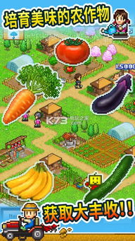 家庭农场游戏攻略