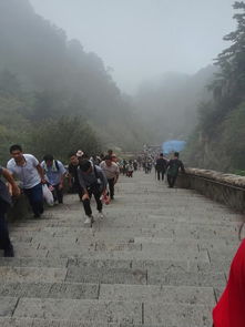 登泰山攻略游戏