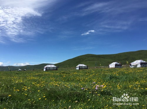 若尔盖草原攻略游戏