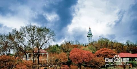 山东烟台攻略游戏