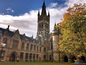 英国留学攻略游戏