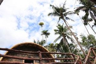 槟榔谷攻略游戏 槟榔谷攻略游戏