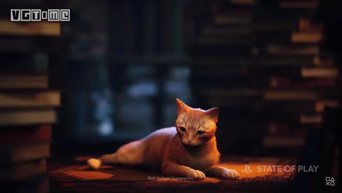 日本猫咪游戏攻略