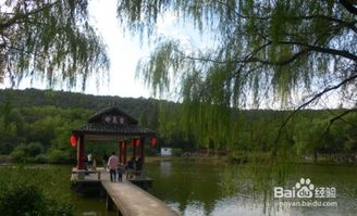 将军山攻略游戏 将军山攻略游戏