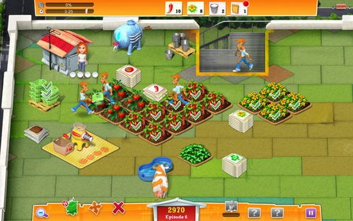 农场生活游戏攻略