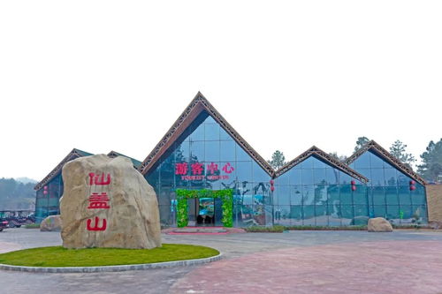 江西抚州攻略游戏