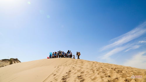 库伦沙漠攻略游戏