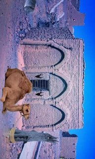 逃脱游戏沙漠骆驼攻略 逃脱游戏沙漠骆驼攻略