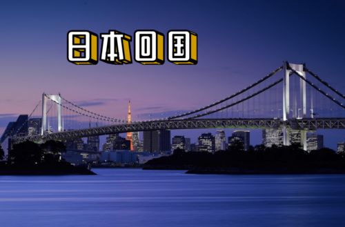 日本回国攻略游戏