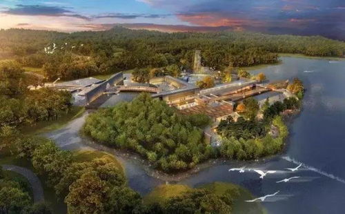 园博会攻略游戏