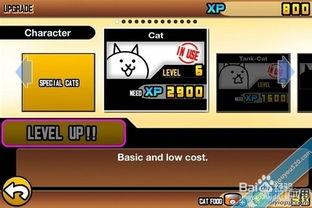 cats游戏攻略大全