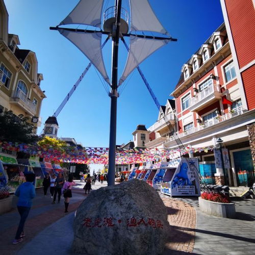 棒棰岛攻略游戏