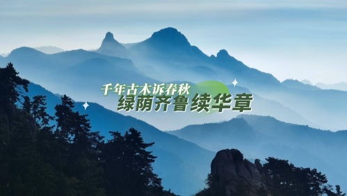 秦始皇陵甬道有日本人植树纪念碑