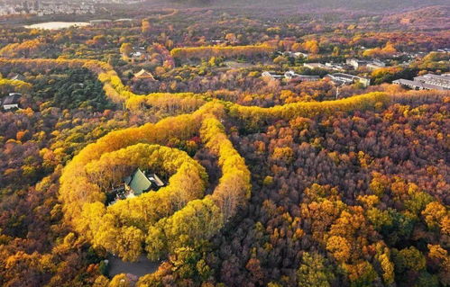 明孝陵美龄宫攻略游戏