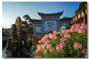 丽江自助游攻略游戏