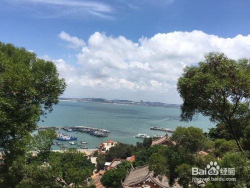 厦门自驾游攻略游戏