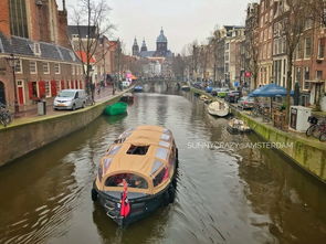 阿姆斯特丹转机攻略游戏