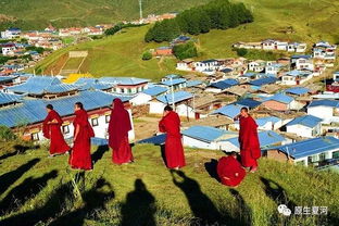 甘南自驾游攻略游戏