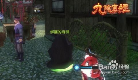 九阴真经绑架攻略游戏 九阴真经绑架攻略游戏