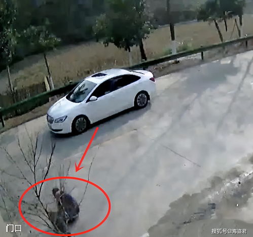 75岁老人开法拉利撞残他人 监控曝光 75岁老人开法拉利撞残他人 监控曝光